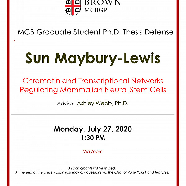 Nsgp Seminar Series Bench To Bedside Katharine Nicholson Phd