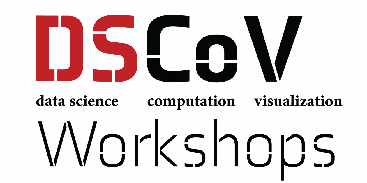 DSCoV Workshop Pizza Lunch: Introduction to the Software Carbon Intensity framework