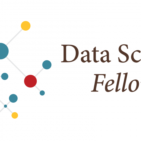 Data Science Fellows Logo