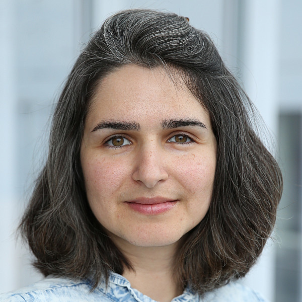 Tahereh Toosi, Ph.D Postdoctoral Research Scientist, Mortimer B. Zuckerman Mind Brain Behavior Institute, Columbia University