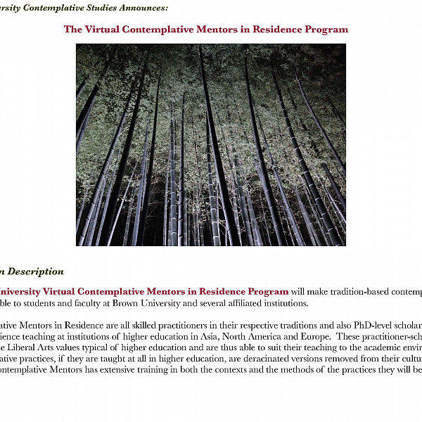Virtual Contemplative Mentors Program