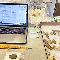 Curatorial Assistant’s Workspace