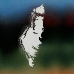 Omer Bartov “Israel: What Went Wrong?” book talk      Book Launch Poster